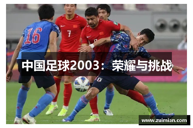 中国足球2003：荣耀与挑战