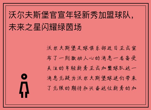 沃尔夫斯堡官宣年轻新秀加盟球队，未来之星闪耀绿茵场